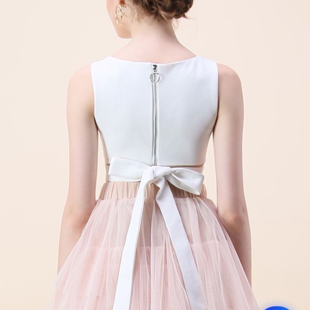 CHICWISH NWT Crop Top - Bowknot - Picture 8 of 10